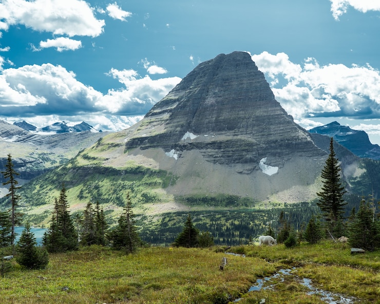 montana