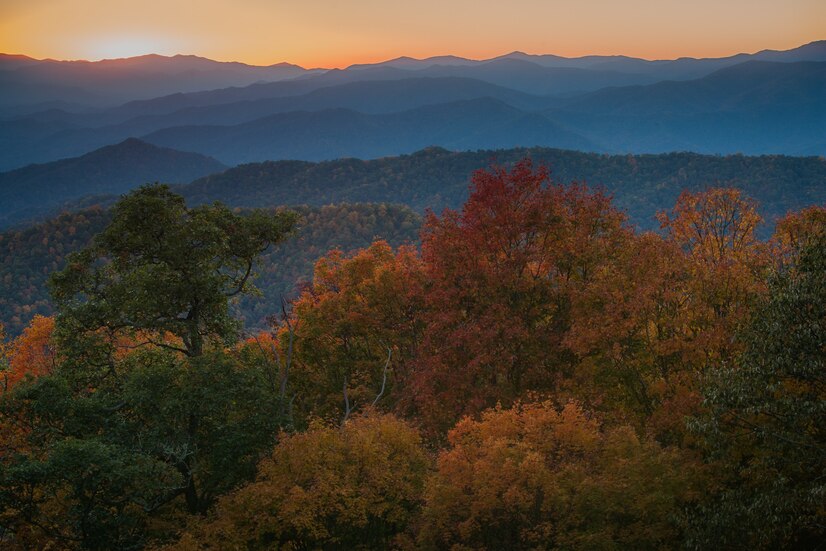 tennessee